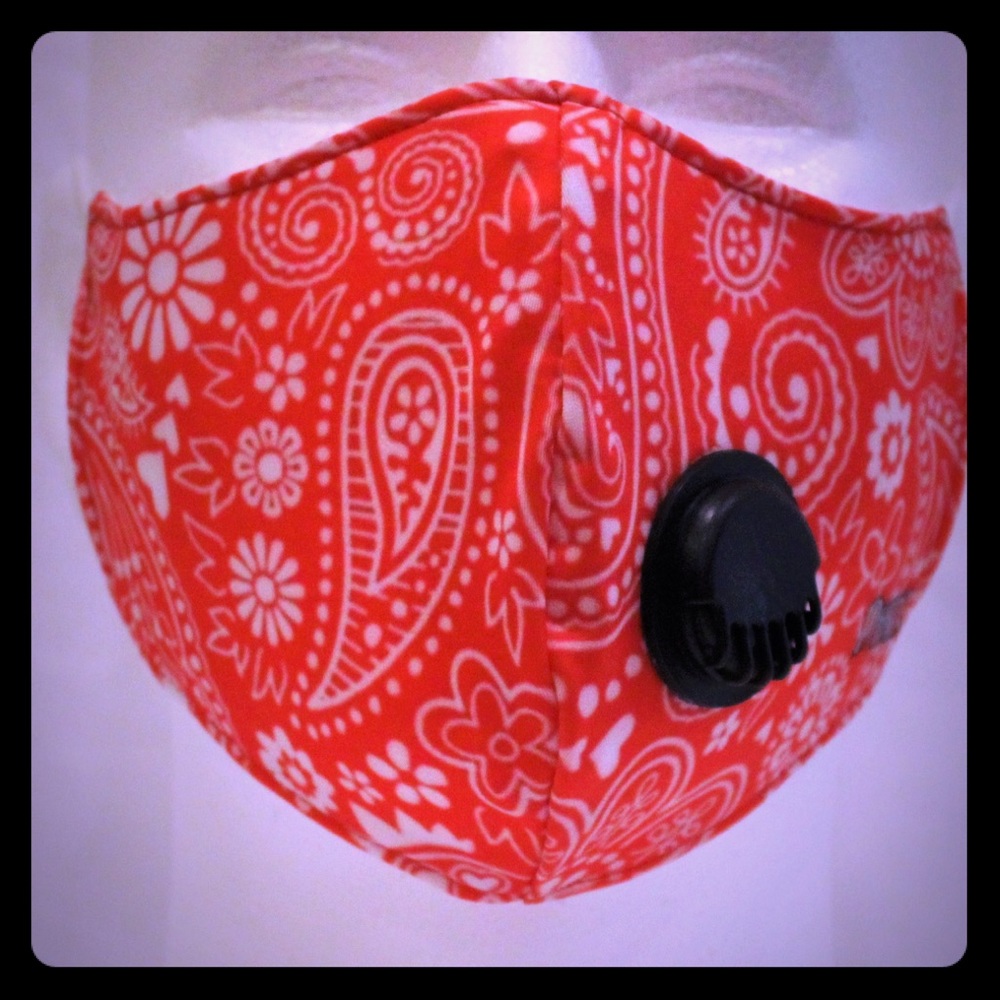 Red Paisley DKHS Face Mask